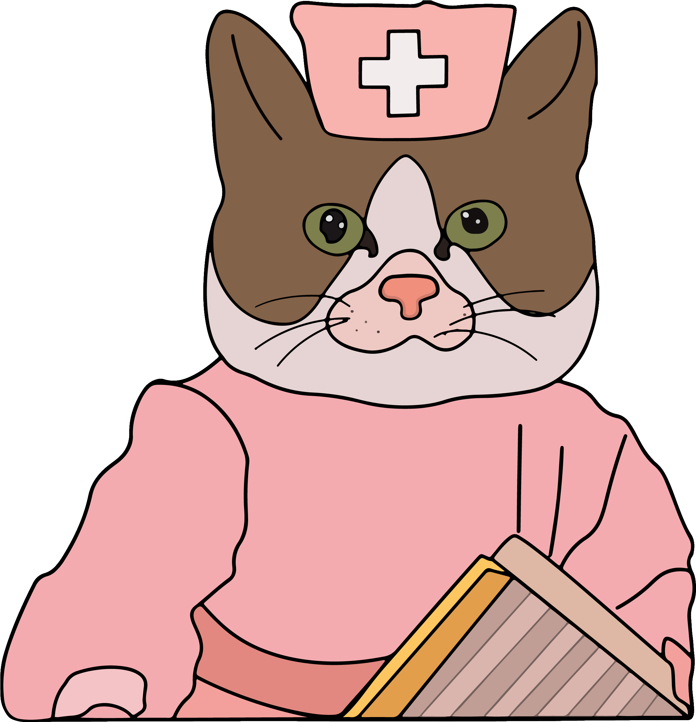 Nurse Cat Cartoon Meme