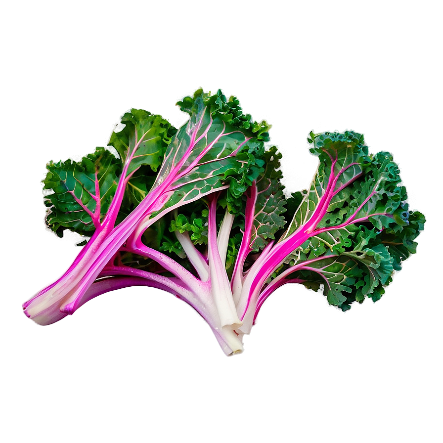 Nutrient-dense Kale Bunch Png 06202024