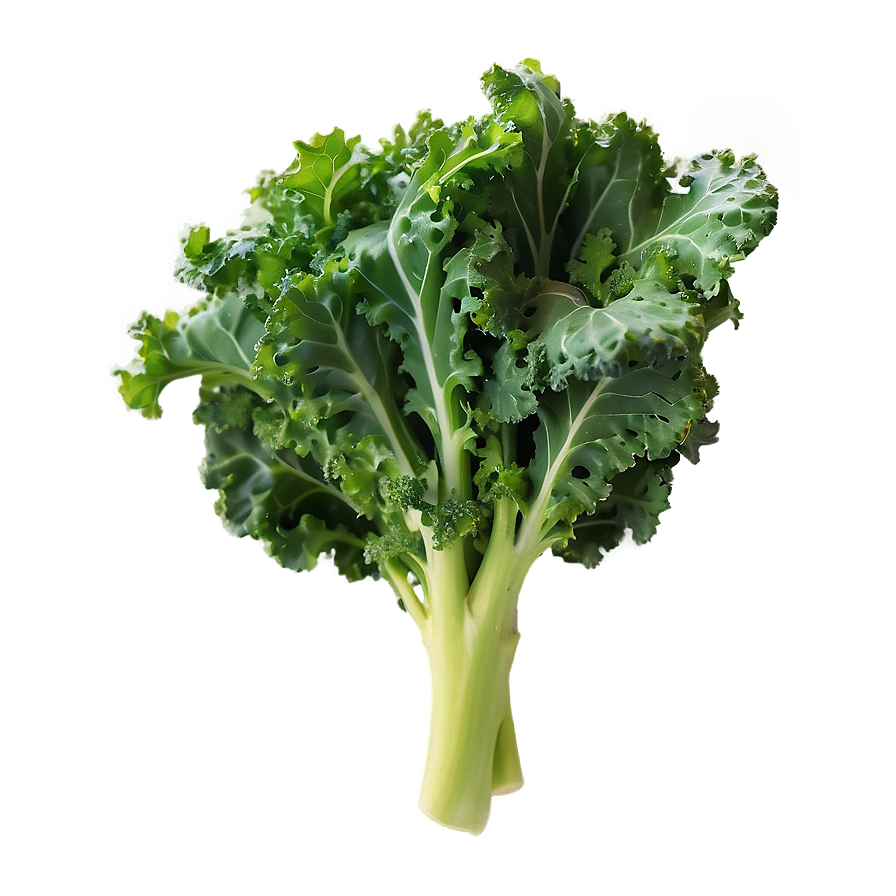 Nutrient-dense Kale Bunch Png 06202024