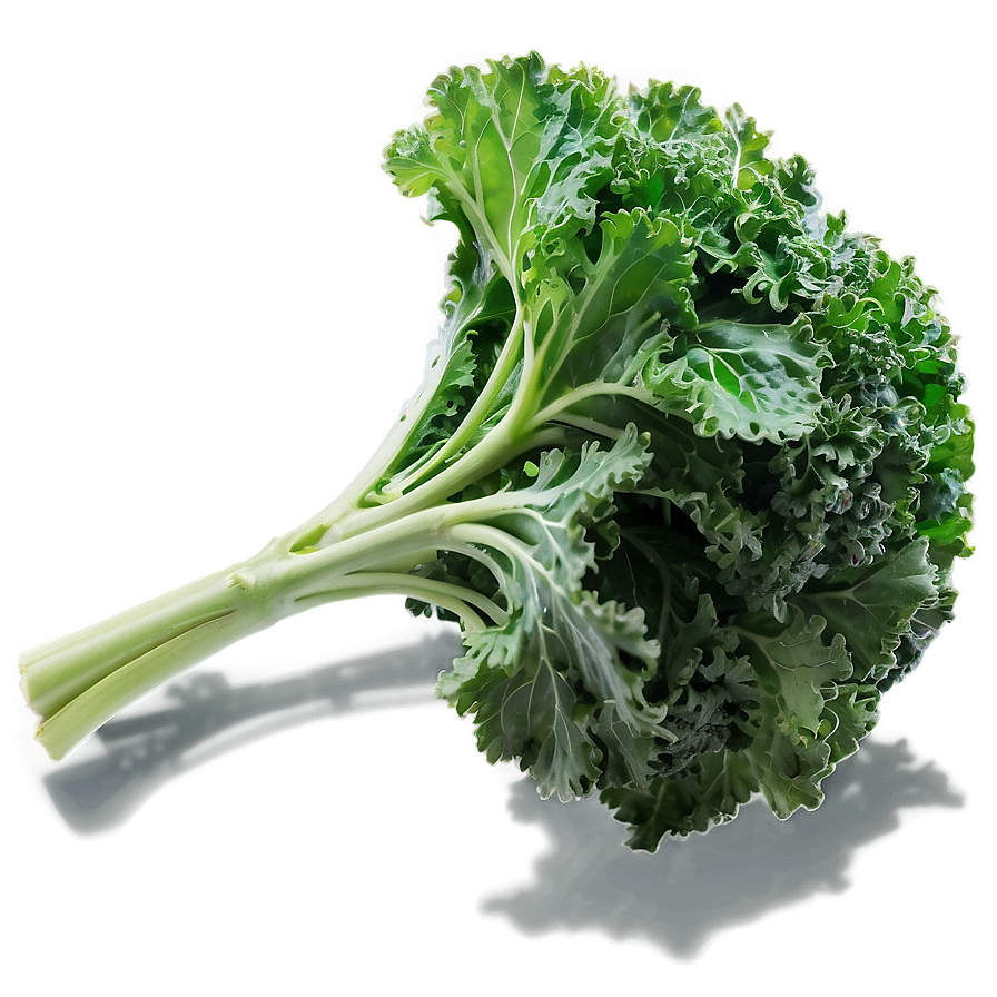 Nutrient-dense Kale Bunch Png 15