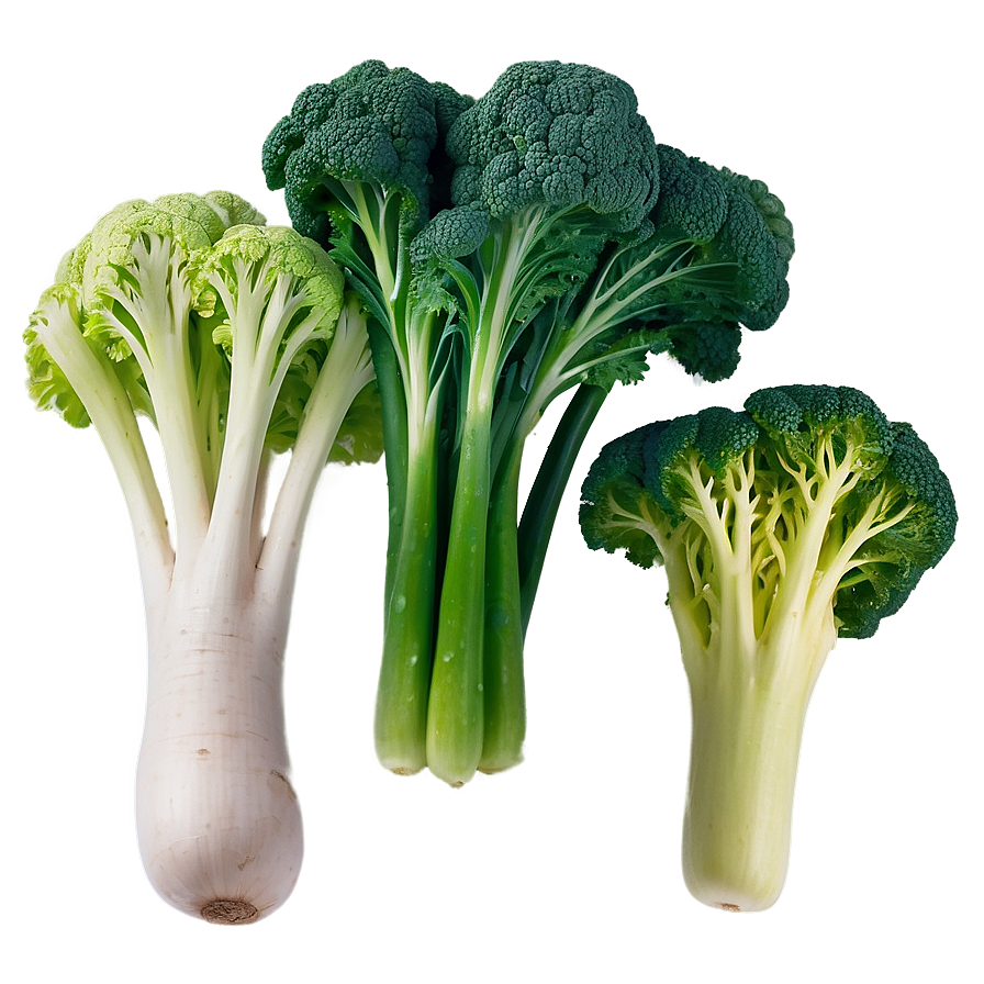 Nutrient-dense Vegetables Png Rsf