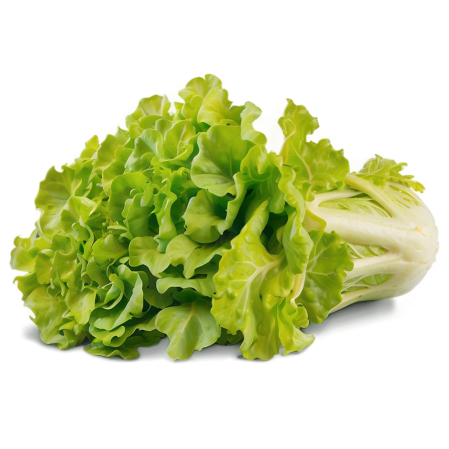 Nutrient-rich Lettuce Png Pli70