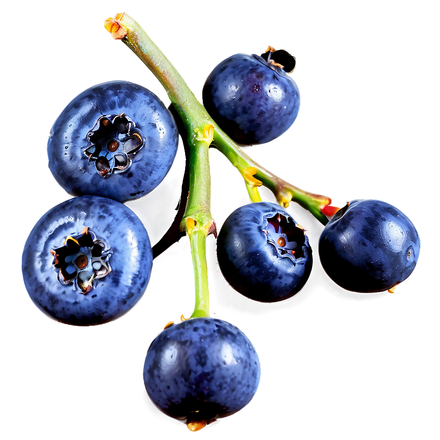 Nutritious Blueberry Serving Png Cbn86