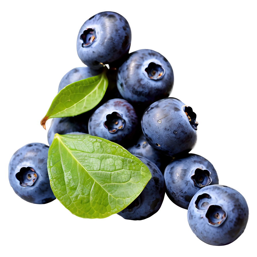 Nutritious Blueberry Serving Png Lgy48