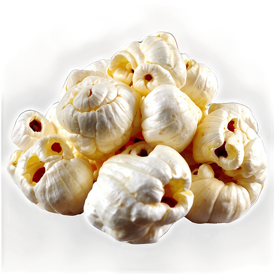 Nutritious Popcorn Kernel Png 06292024