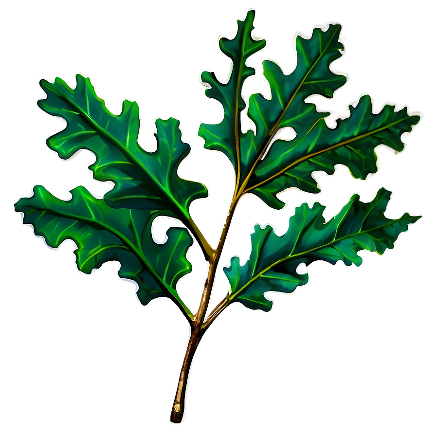 Oak Leaf Branch Png 13