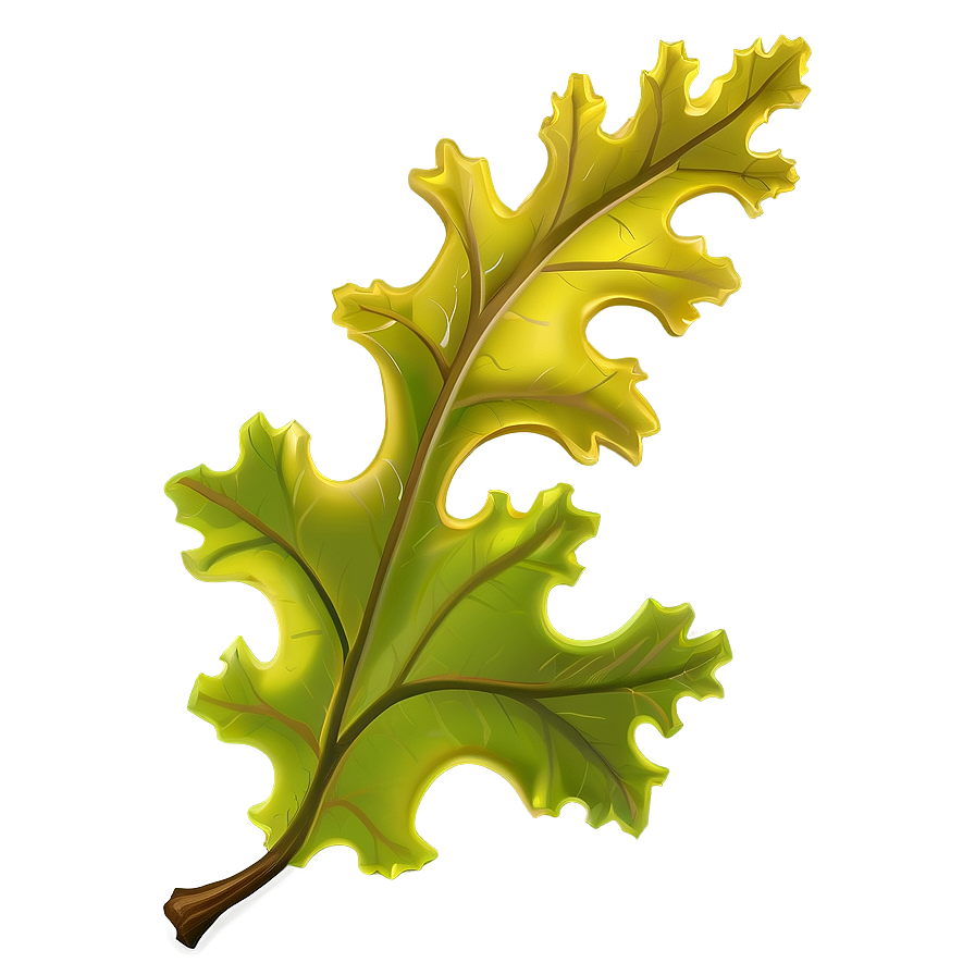 Oak Leaf Branch Png Hhe97