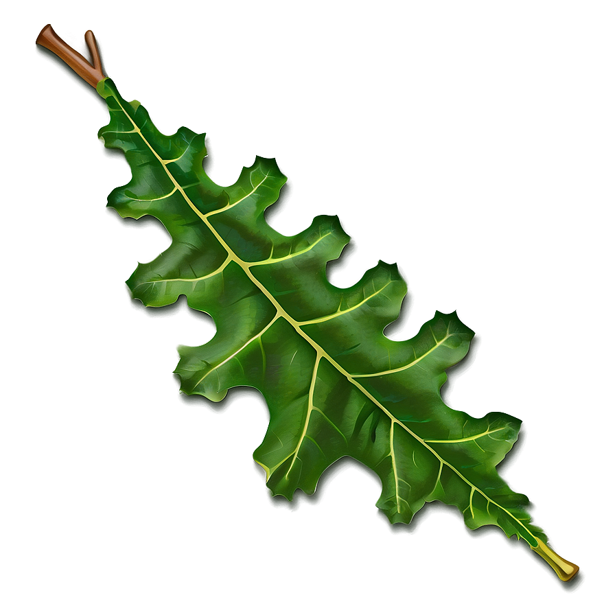 Oak Leaf Collection Png 06292024