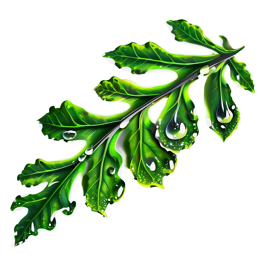 Oak Leaf Dewdrops Png 84