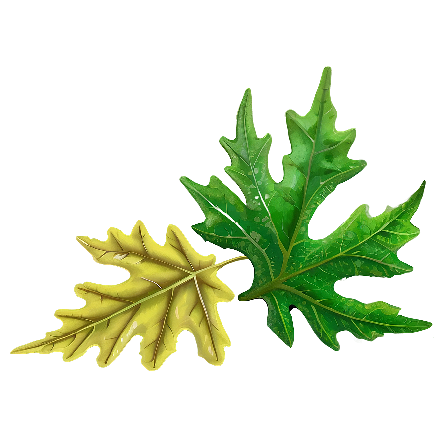 Oak Leaf For Design Png Kus57