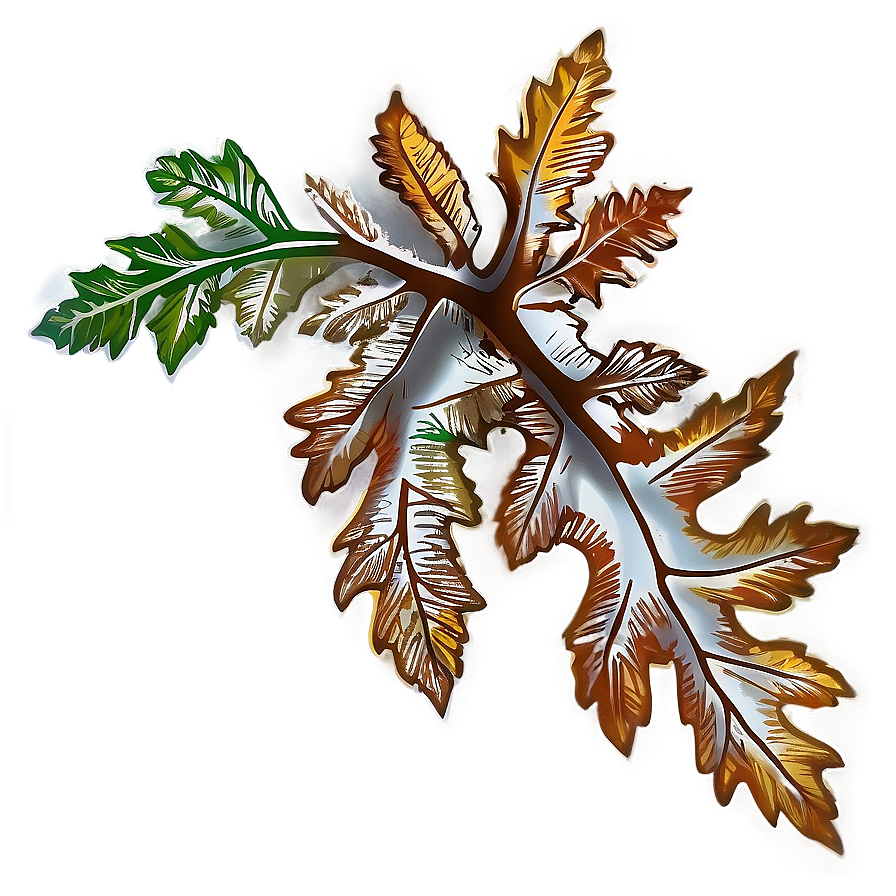 Oak Leaf For Education Png 06292024