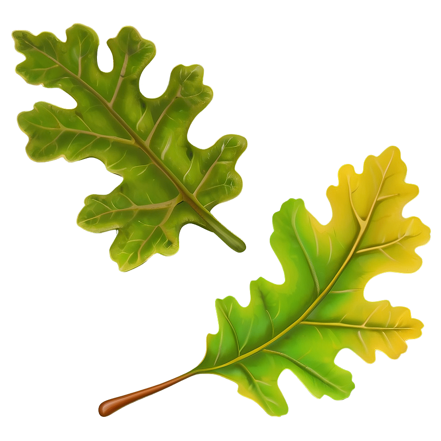 Oak Leaf In Landscape Png Wsr42