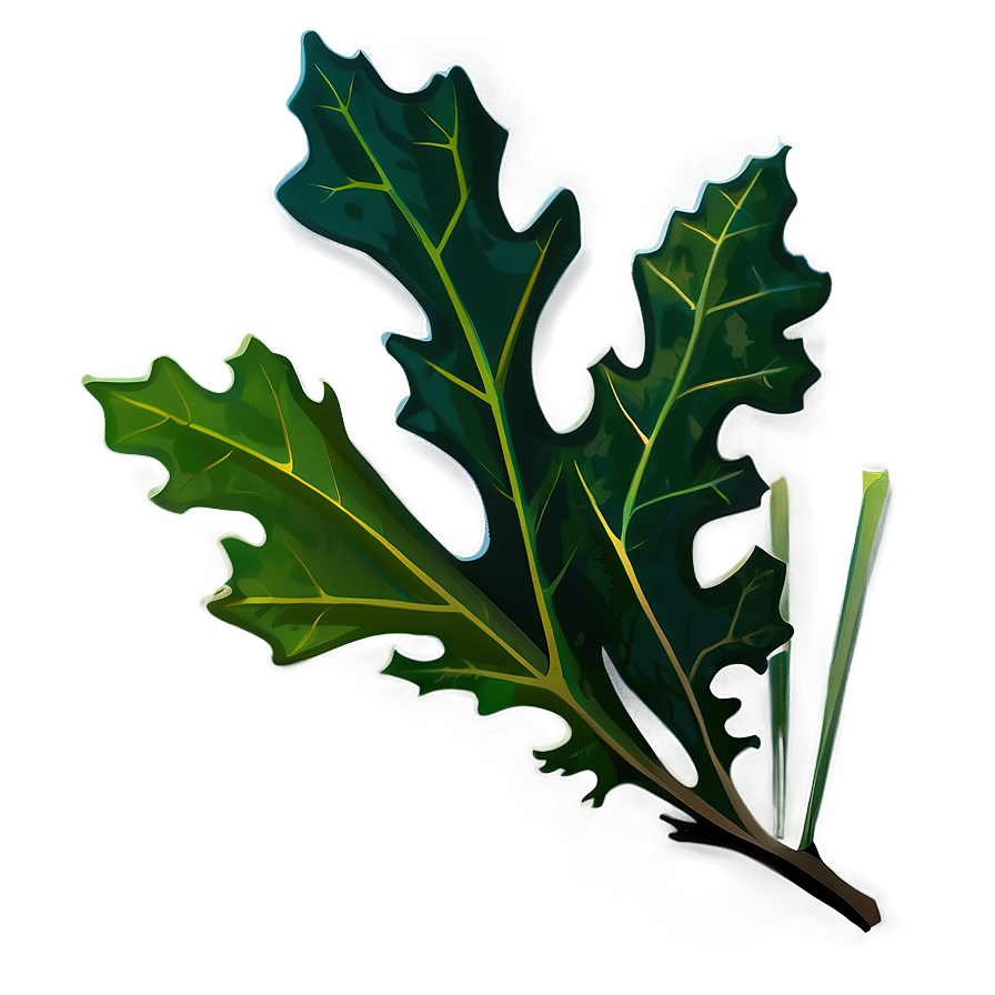 Oak Leaf In Nature Png 33