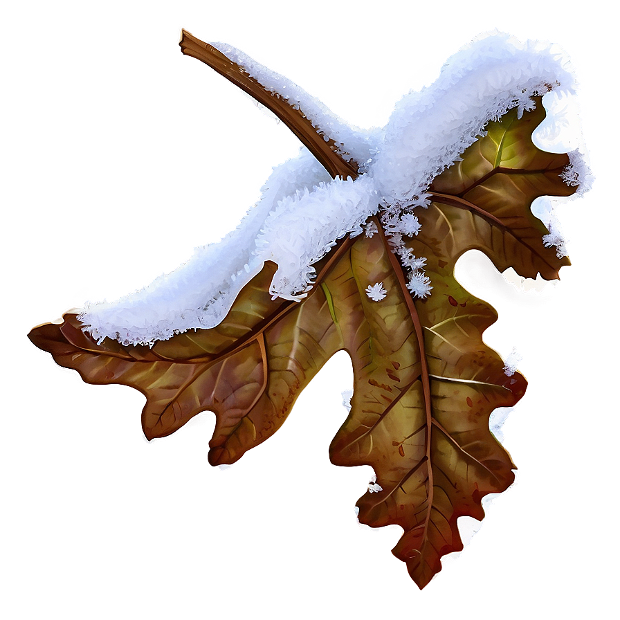 Oak Leaf In Snow Png Juk