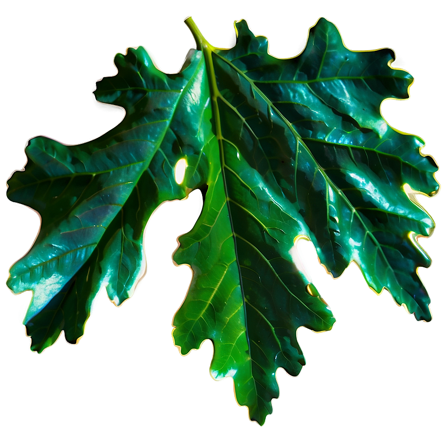 Oak Leaf In Sunlight Png Vby75