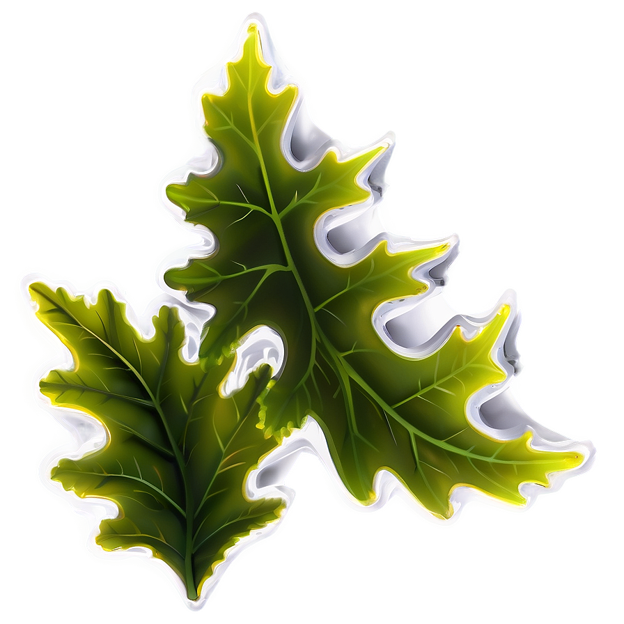 Oak Leaf Pattern Png 06292024