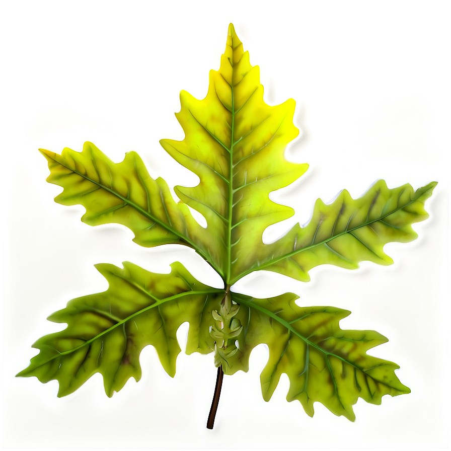 Oak Leaf Pattern Png Fbb7