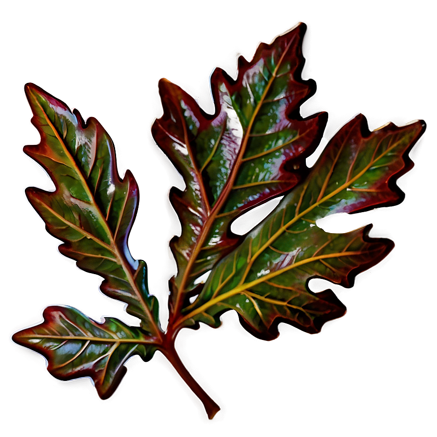 Oak Leaf Png 05032024