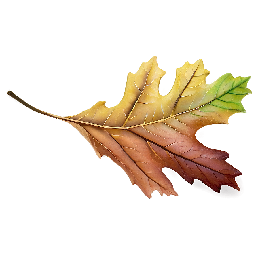 Oak Leaf Png Ynf65