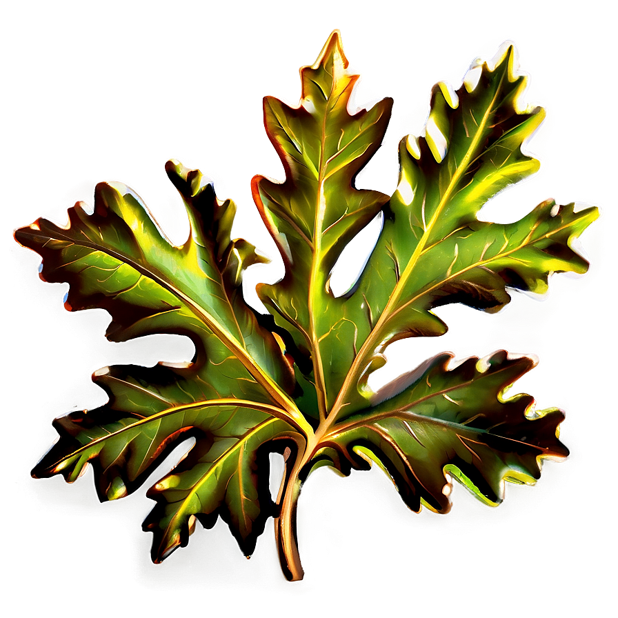 Oak Leaf Symbol Png 06292024