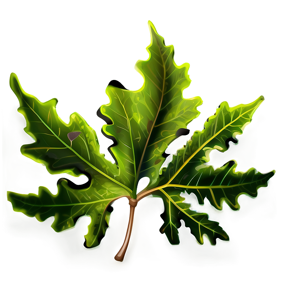 Oak Leaf Symbol Png Ibt28