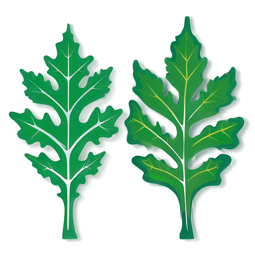 Oak Leaf Vector Png 75