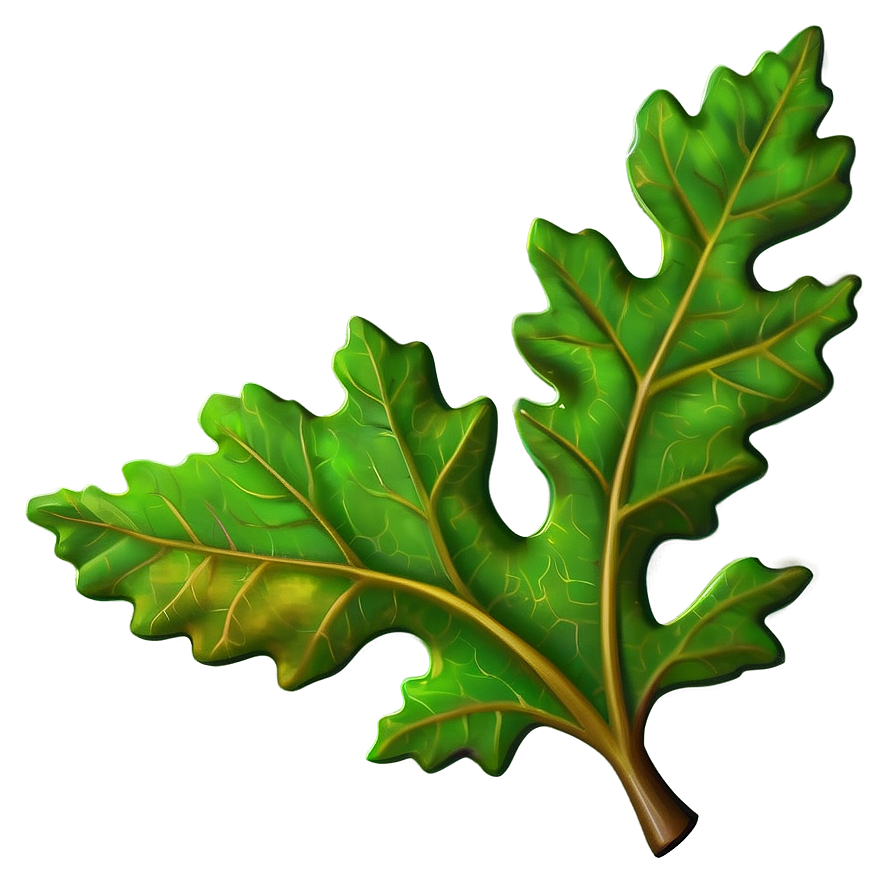 Oak Leaf Wallpaper Png 86