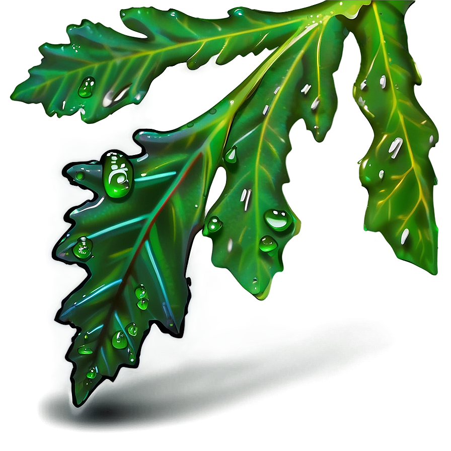 Oak Leaf With Dew Png 91