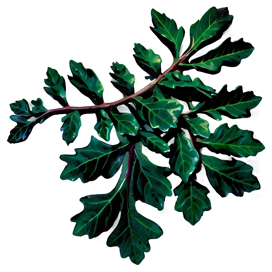 Oak Leaves Cluster Png Dgu