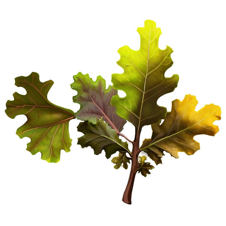 Oak Leaves Png Lqb19