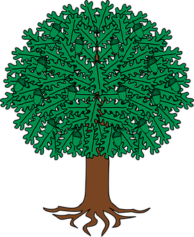 Oak Tree Illustration