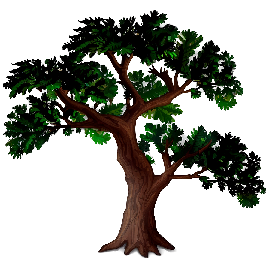 Oak Tree Shadow Png 99