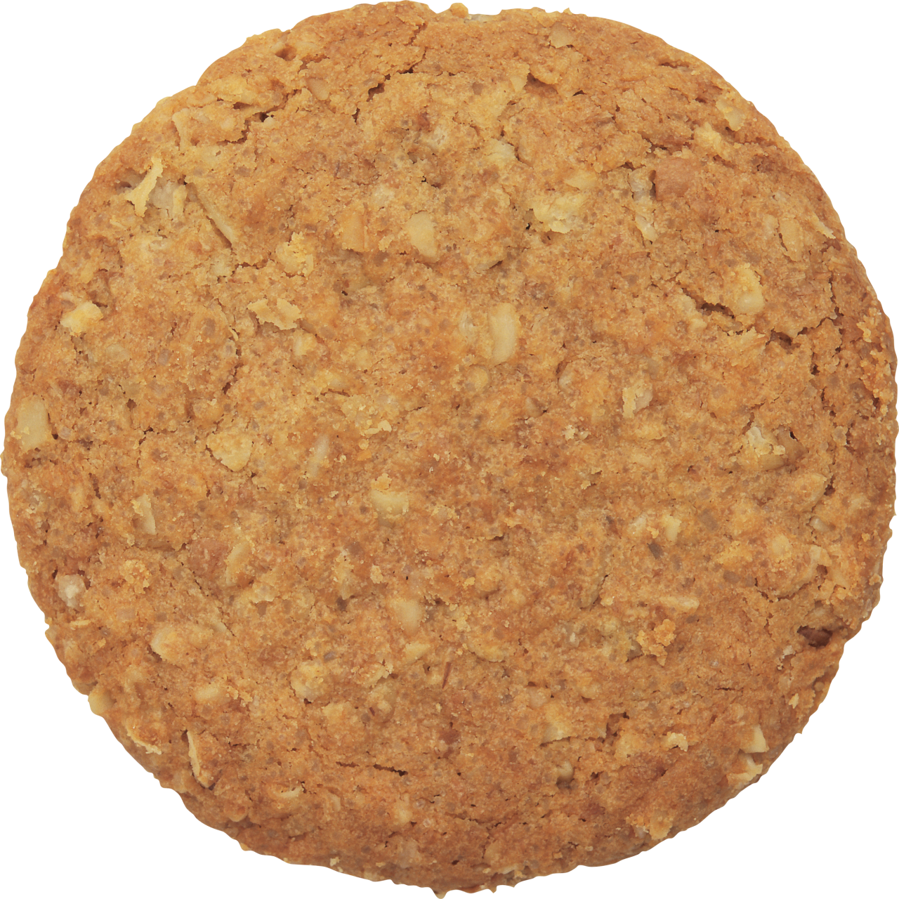 Oatmeal Cookie Top View.png