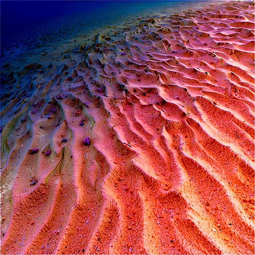 Ocean Floor Sand Png Ncu