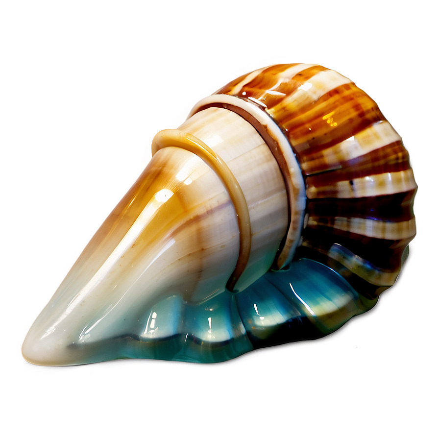 Ocean Shell Icon Png 05212024