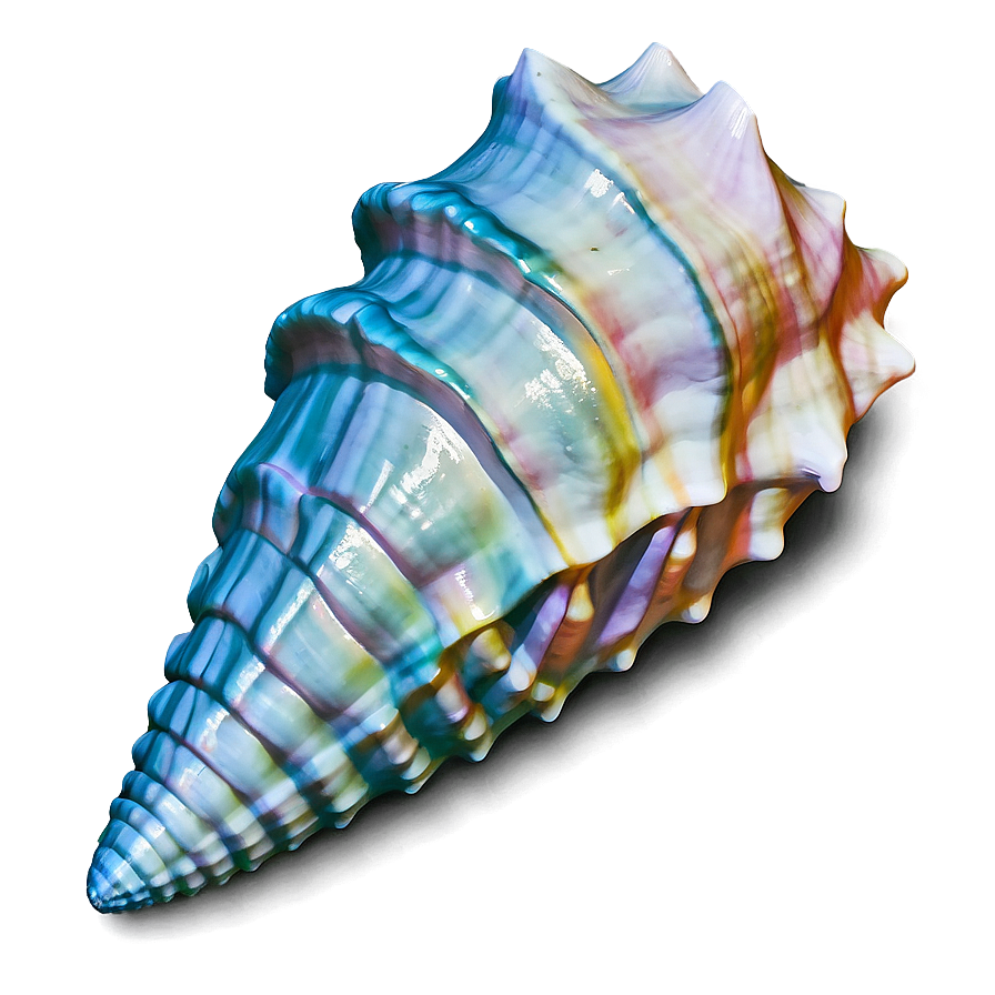 Ocean Themed Conch Shell Png 51