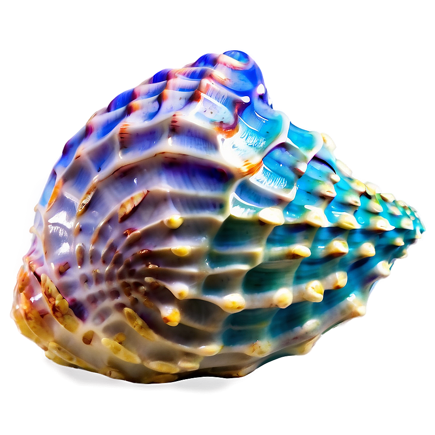 Ocean Themed Conch Shell Png Agh52