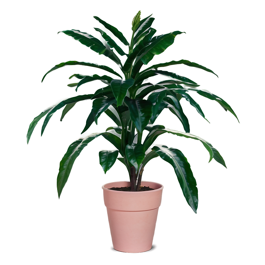 Office Houseplant Png Csx