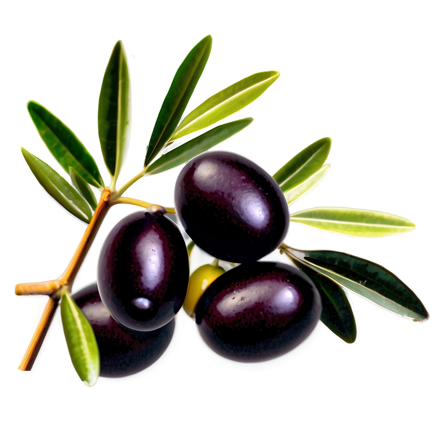 Olive Harvest Scene Png Kgq