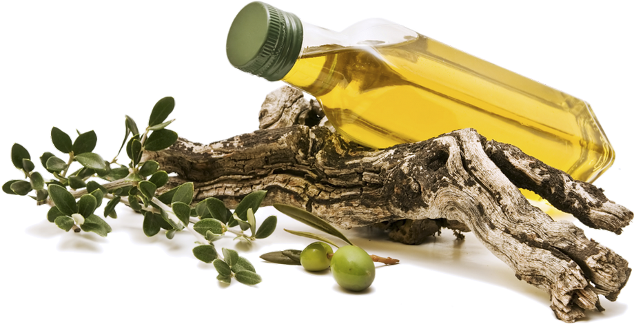 Olive Oil Bottle With Olive Branchand Tree Bark