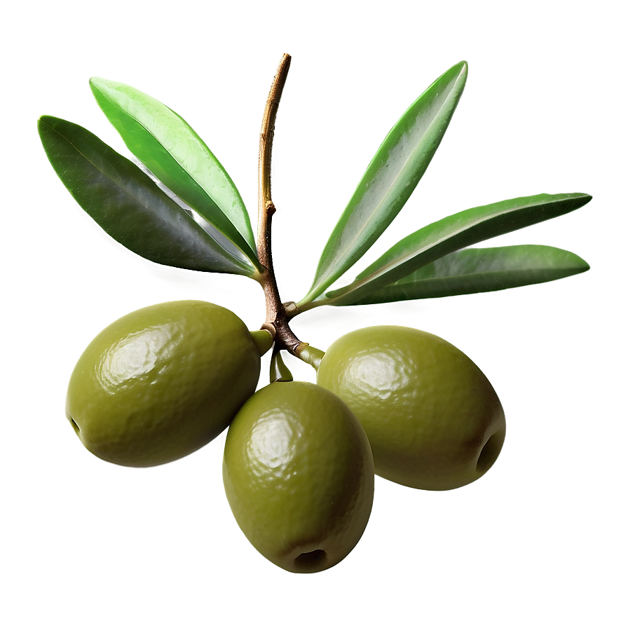 Olive Pattern Background Png Kwp32