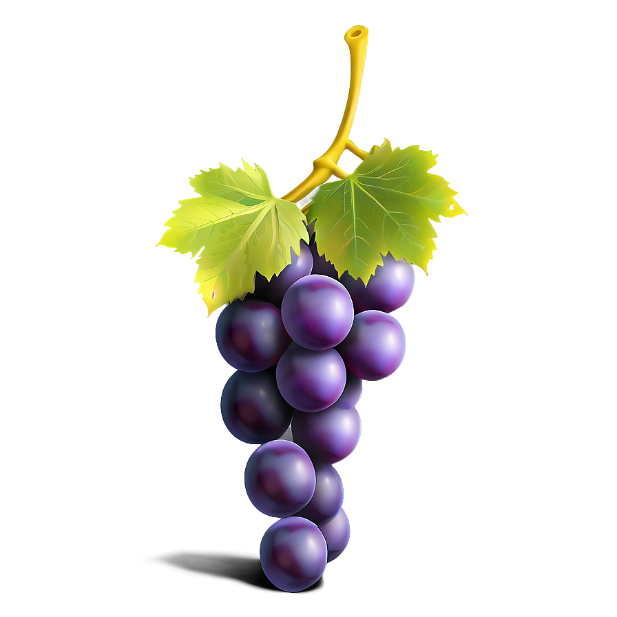 One Grape Icon Png 06292024