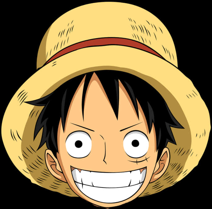 One Piece Luffy Straw Hat Smile