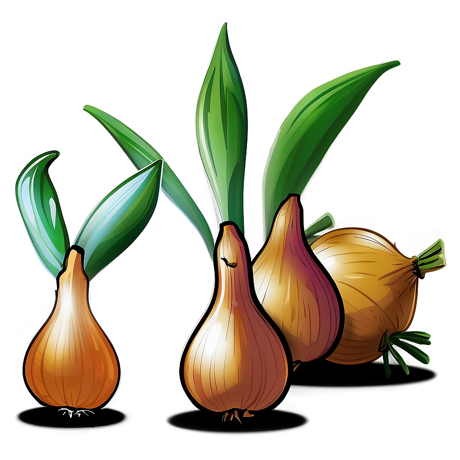 Onion Plant Illustration Png 06122024