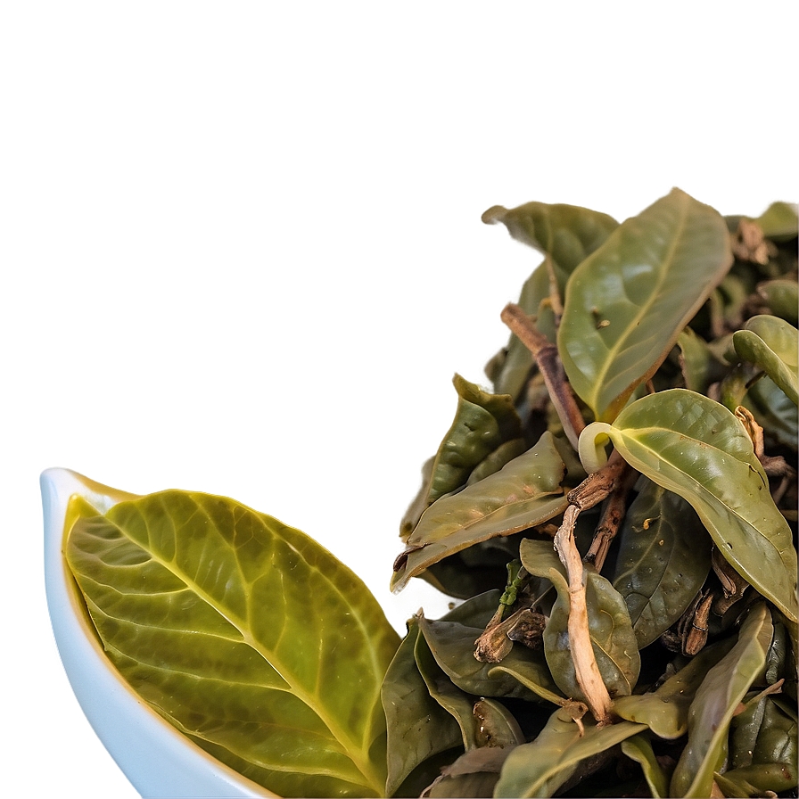 Oolong Tea Leaf Png 46