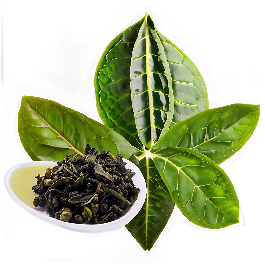 Oolong Tea Leaf Png Jcu