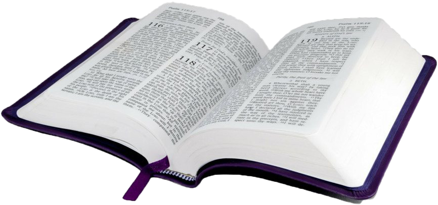 Open Bible Psalms Reflection