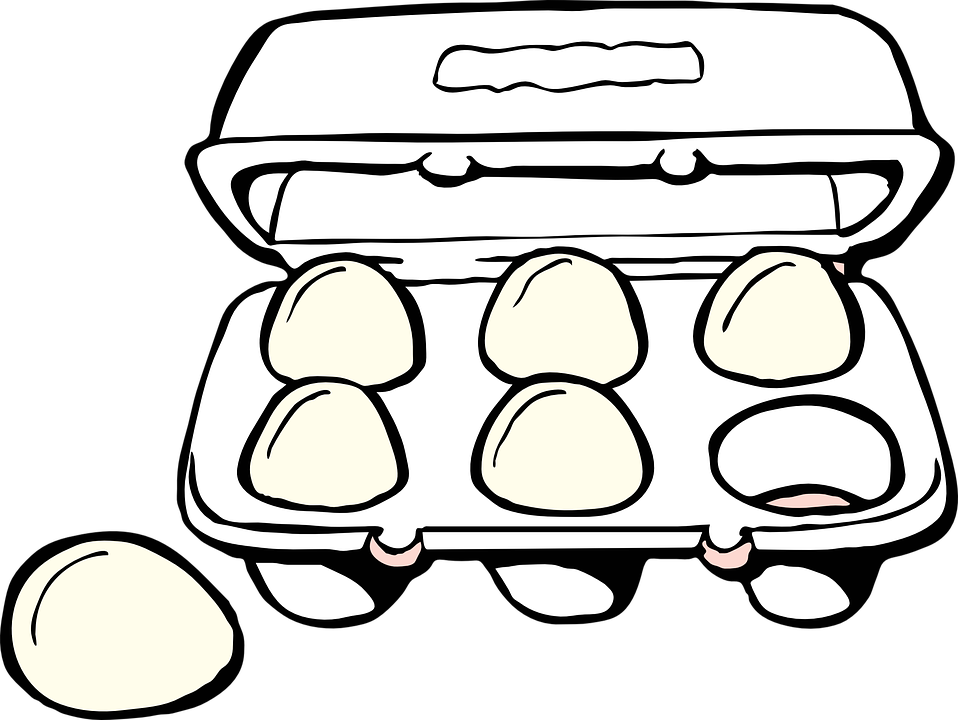 Open Egg Carton Illustration