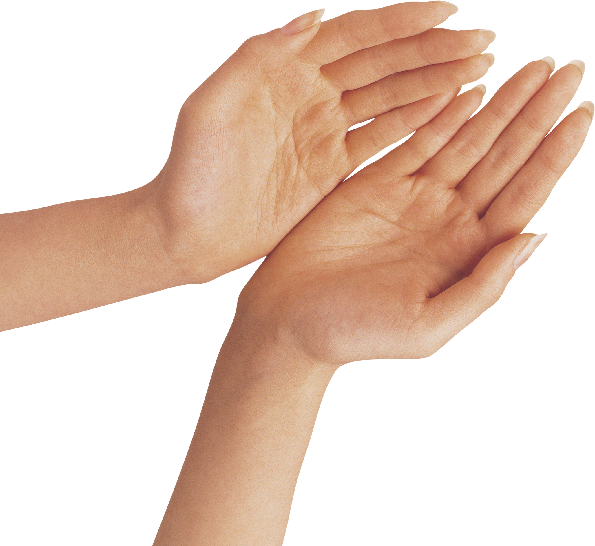 Open Palms Hand Gesture Clipart