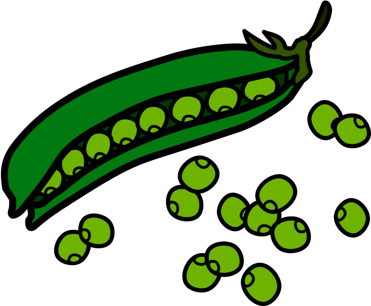 Open Pod Peas Illustration